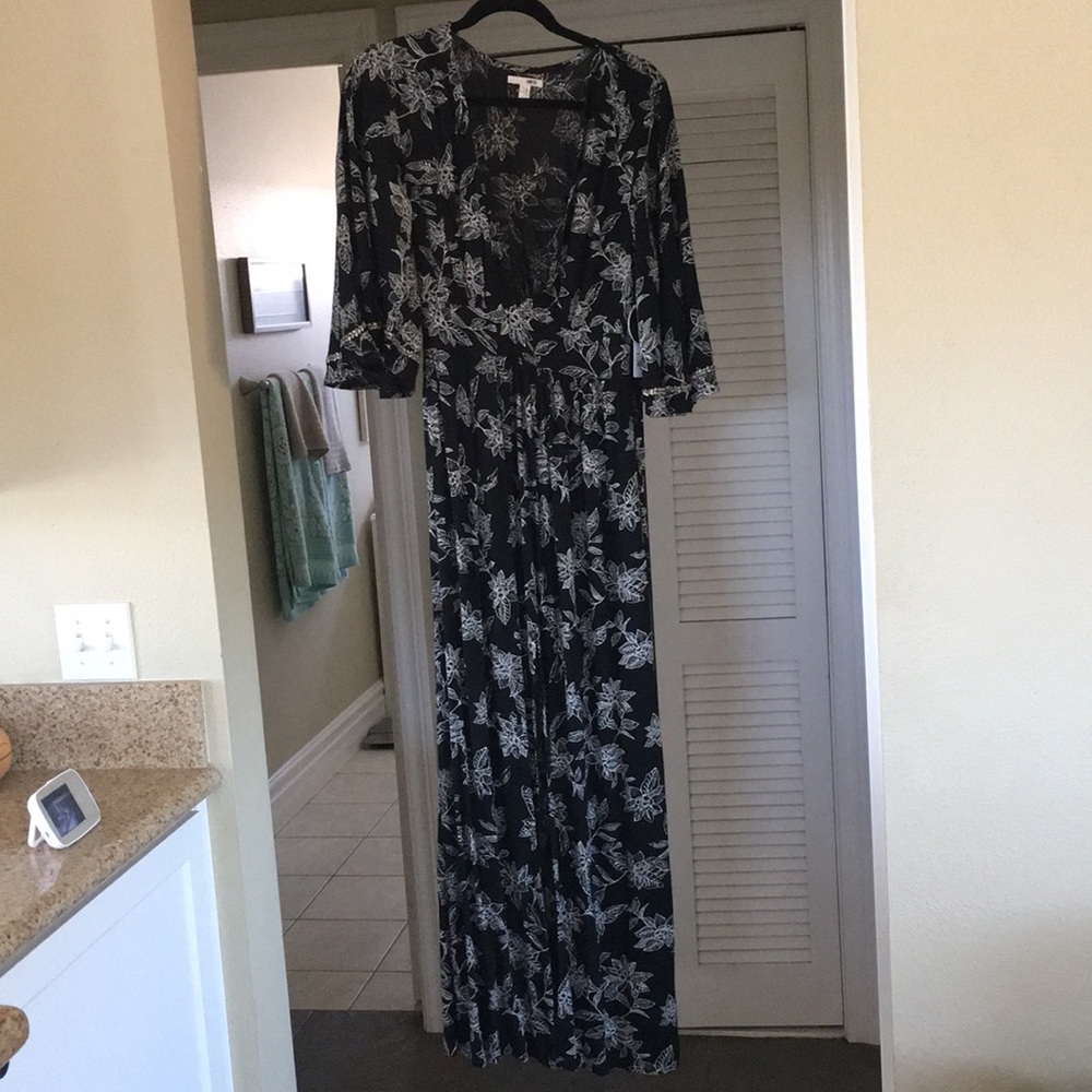 Amuse society dress
